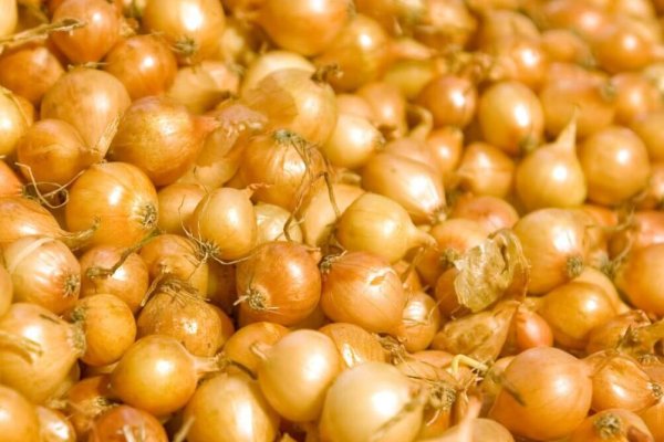 Кракен актуальное зеркало